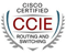 CCIE学习资料